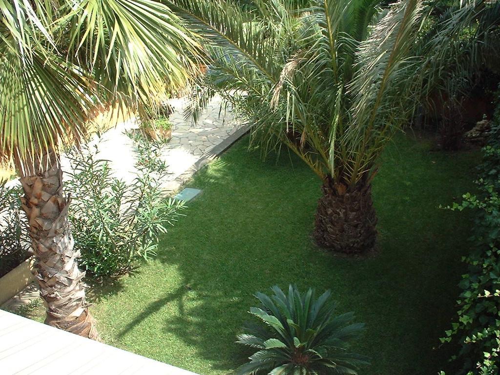 Apartment La Catalane Saint-Cyprien (Pyrenees-Orientales)